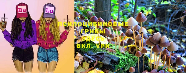 сатива Алексин