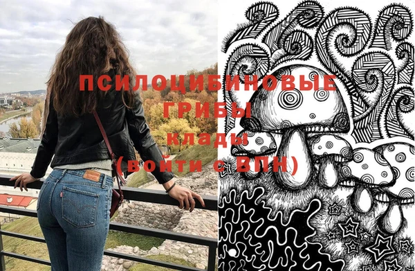 сатива Алексин